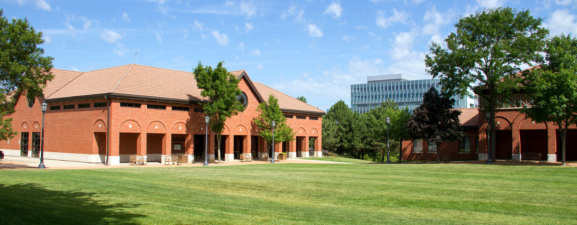 Exterior of Quad and Schwan Library in summer